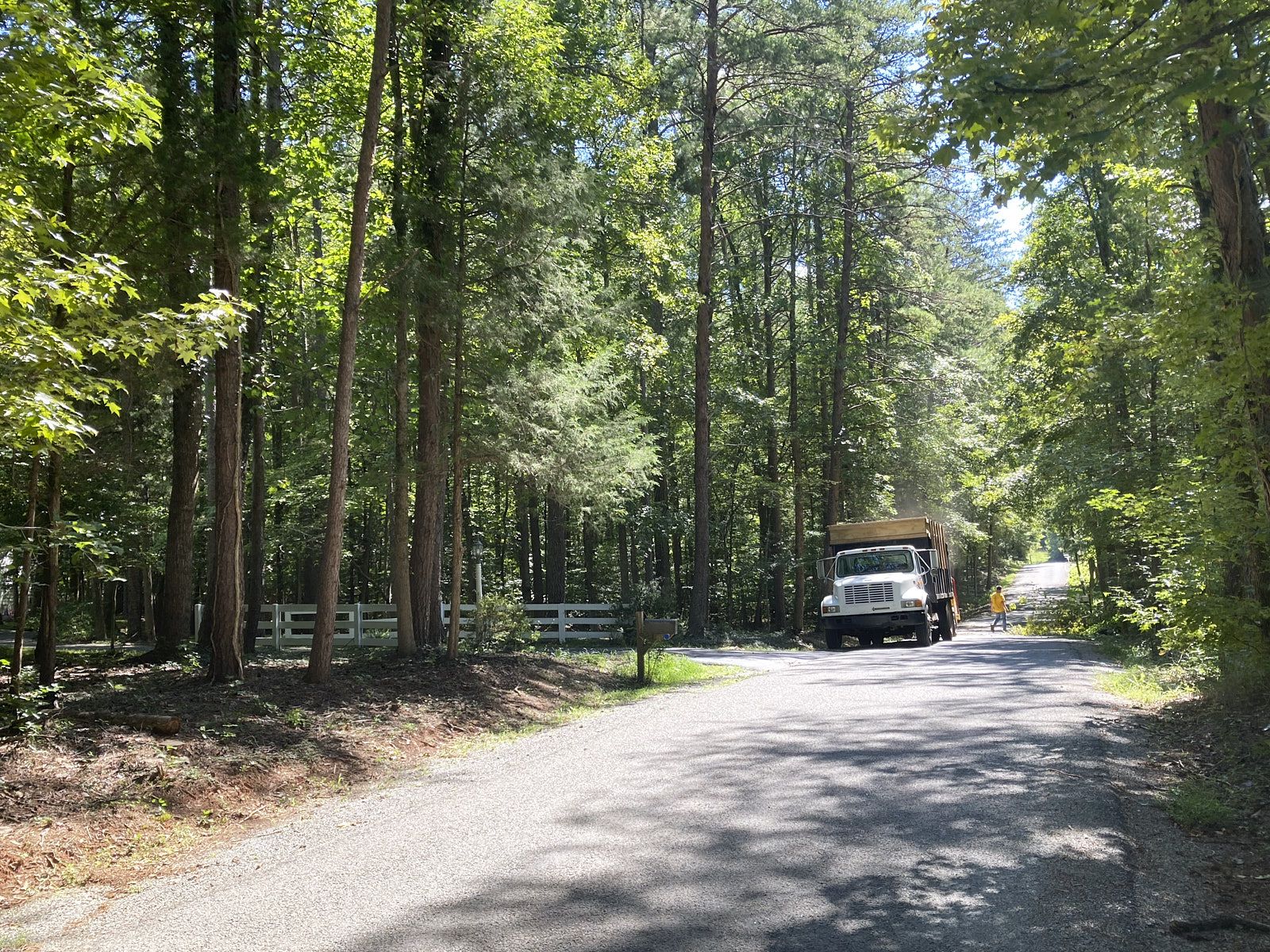 A Roadway Between Dense Trees And Bushes With A Truck Parked In The Background Possibly For Tree Trim Service