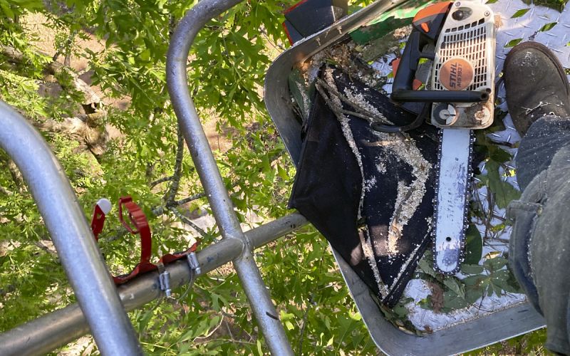 Closeup Shot Of A Lifter With A Saw Next To A Person Foot Preparing For Tree Trim Service