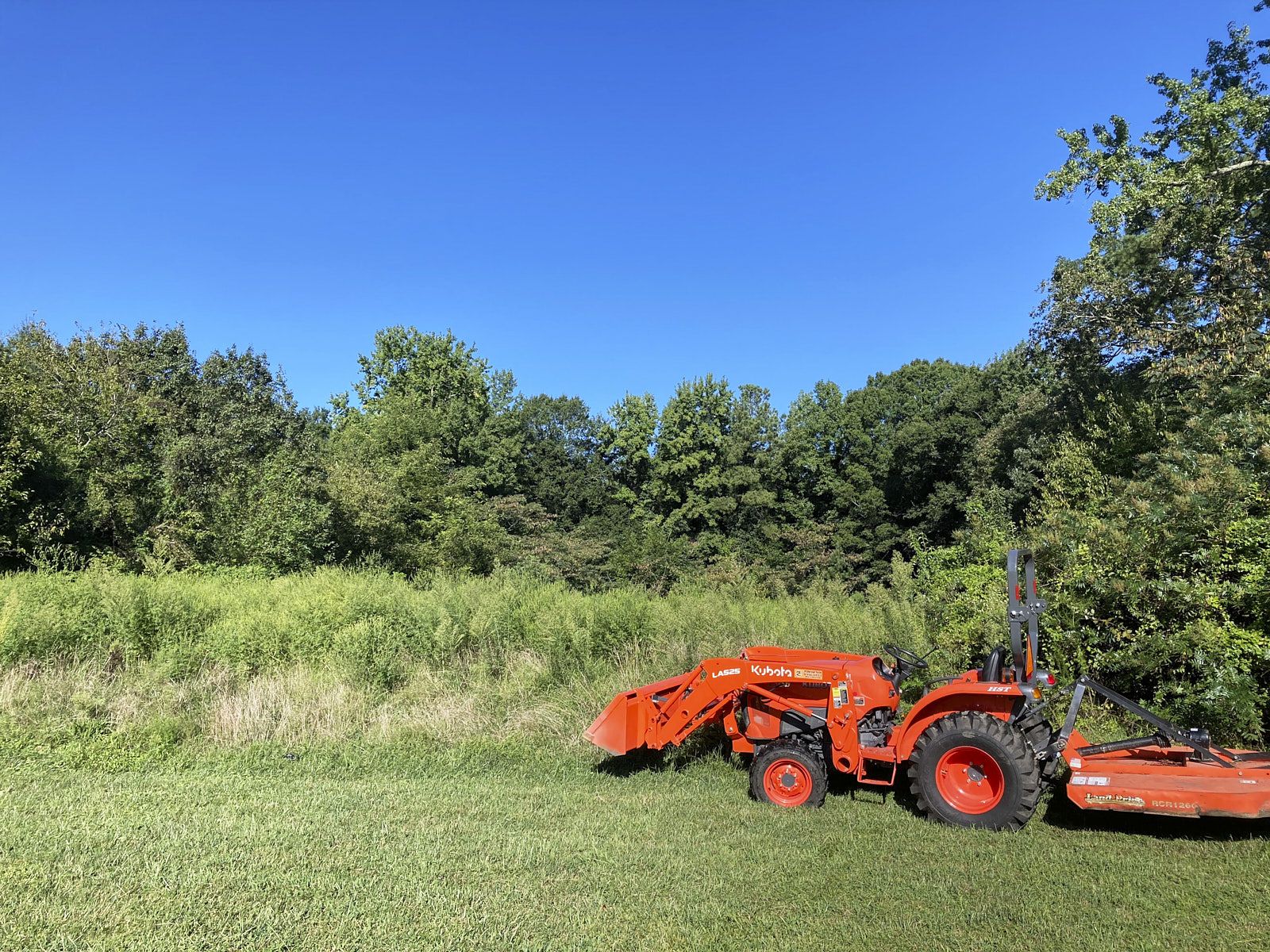 An Orange Tractor From A Tree Company Trimming And Removing Heavy Grass And Bushes In A Large Lawn