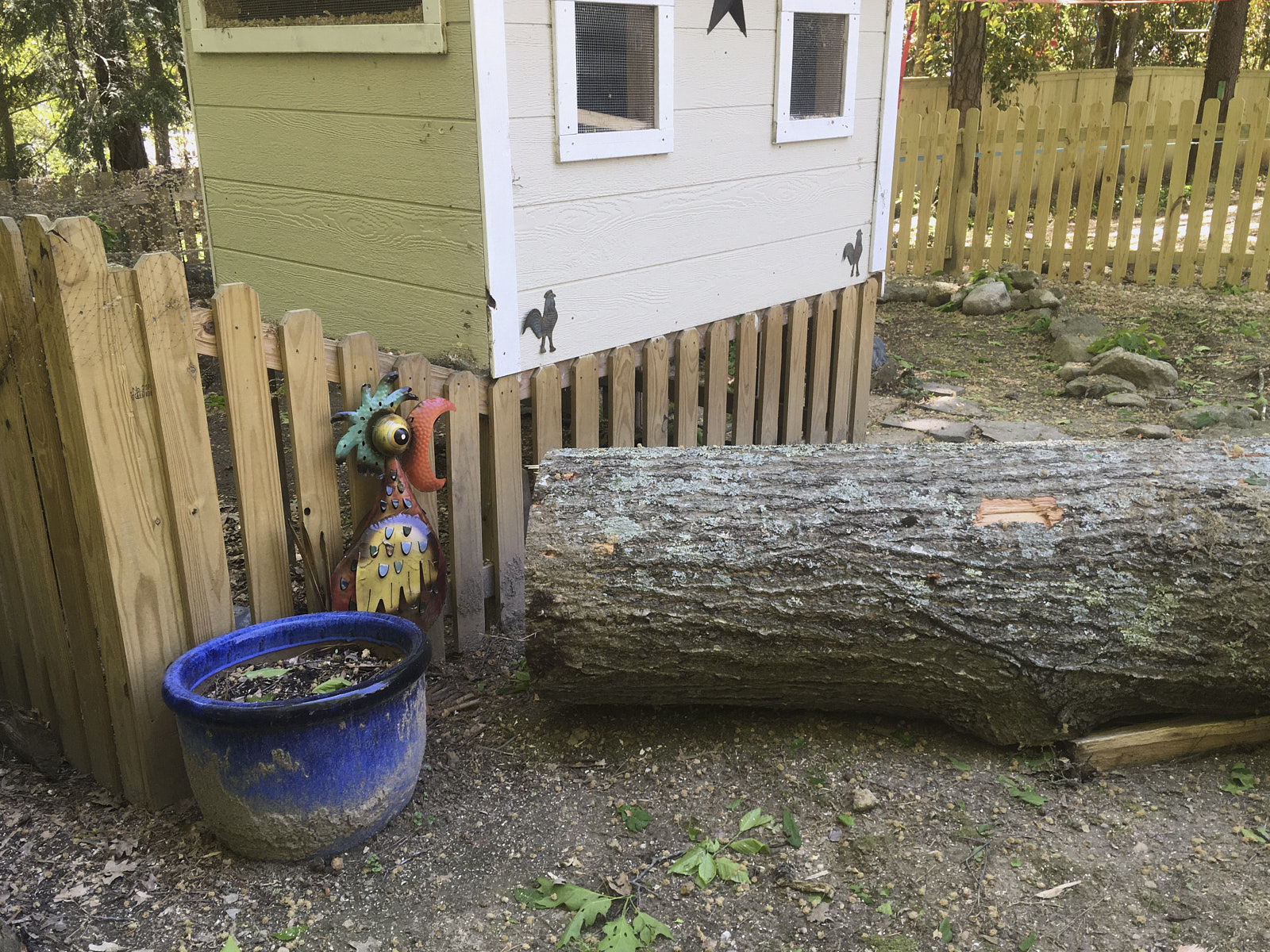 Closeup Shot Of A Thick Tree Trunk Placed In A Mulched Lawn With Wooden Boundary Walls Around The Lawn Area
