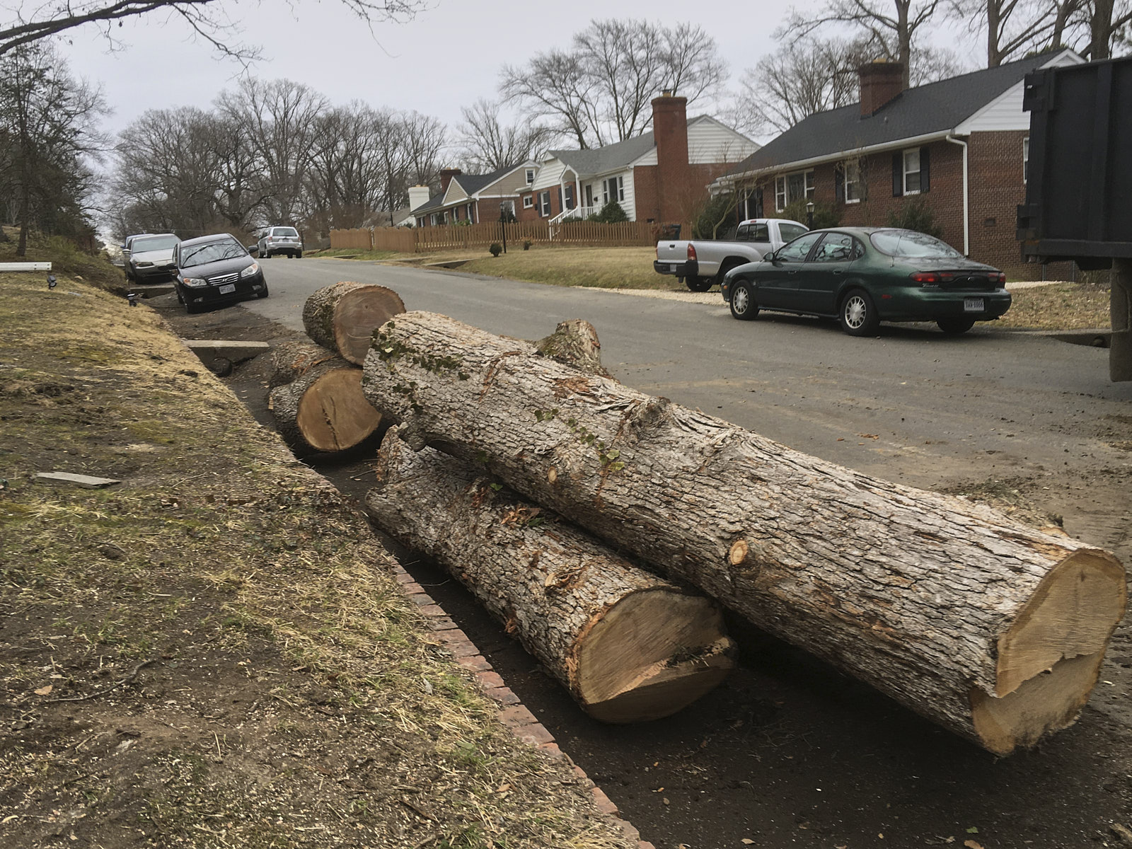 Several Big Tree Trunks Are Placed On The Road Corner After Being Professionally Cut Down By A Tree Cutting Company