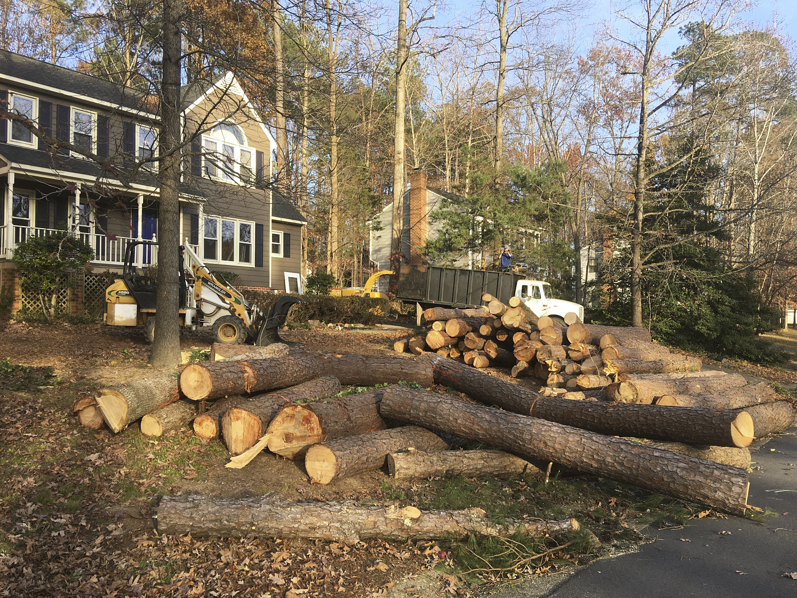 Tree Trunks Are Placed In A Green Field Outside Houses After A Professional Tree Cutting Process By A Tree Removal Company