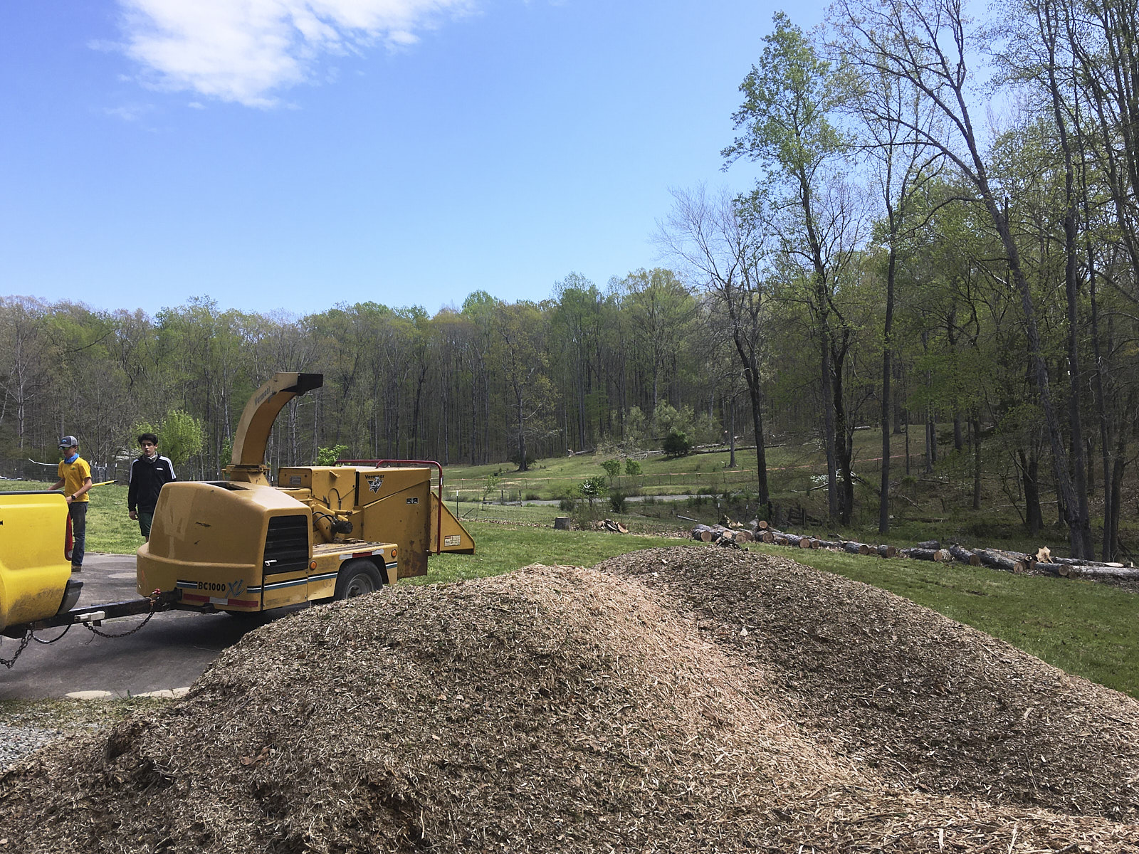 Tree Removal Compnay In Short Pump Va